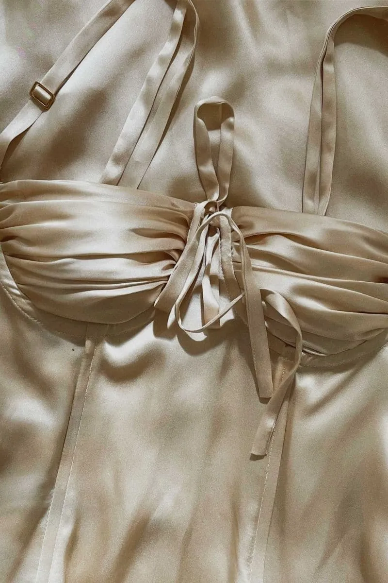 CHINCHILLA SILK AMIRA BUSTIER TOP